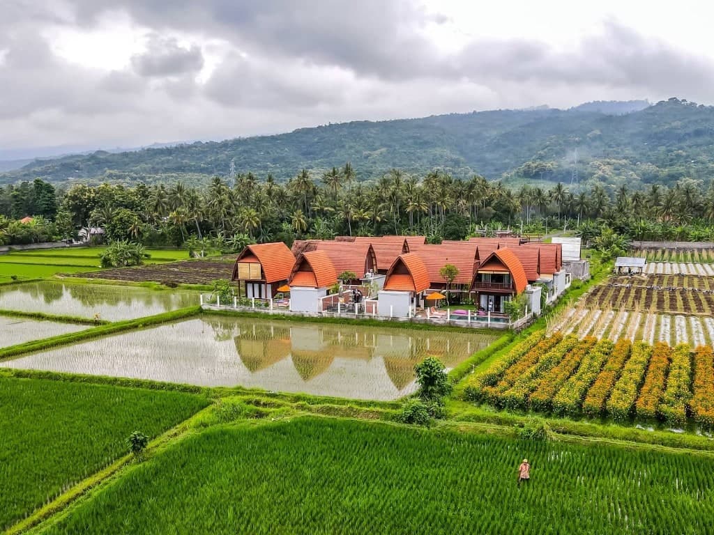 Bhumi Lovina luxury 2-bedroom private pool villa estate among rice paddies in Temukus Lovina North Bali